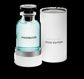 Imagination
